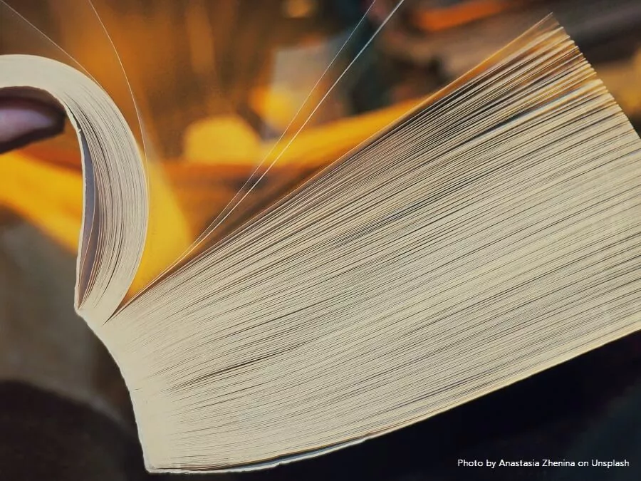 Arauco capacita a 20 colaboradores en Secado Avanzado de la madera